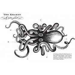 Black Spiced Rum 70 cl - The Kraken