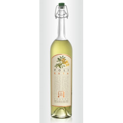 Grappa con Ruta 50 cl - Jacopo Poli