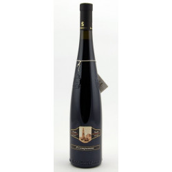 Lambrusco Reggiano Campanone d.o.c. 75 cl - Lombardini