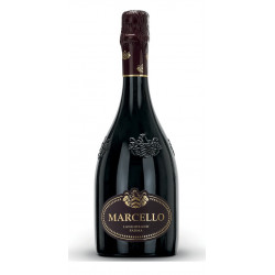 Lambrusco Spumante dell'Emilia i.g.t. “Marcello Gran Cru” 75 cl - Ariola