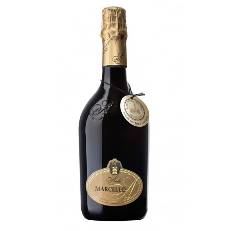 Lambrusco dell'emilia  i.g.t "Marcello Oro" 75 cl - Ariola