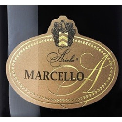 Lambrusco dell'emilia  i.g.t "Marcello Oro" 75 cl - Ariola