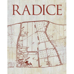 Lambrusco di Sorbara d.o.c. rifermentato in bottiglia "Radice" 75 cl - Paltrinieri