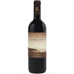 Bolgheri d.o.c. Guado al Tasso Il Bruciato 75 cl - Marchesi Antinori