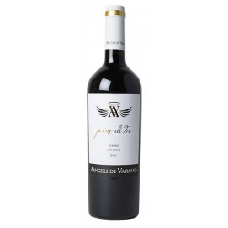 Rosso Conero "primo di tre"  d.o.c. jéroboam 300 cl - Angeli di Varano