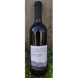 Pinot nero A.A. d.o.c. gries Kellerei Bozen 75 cl - Cantina Bolzano