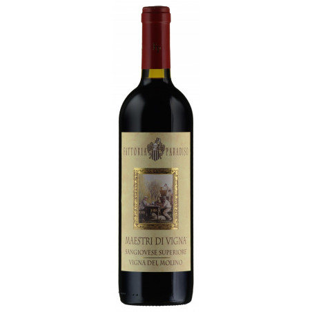 Sangiovese Superiore maestri di vigna 2015 75 cl - Fattoria Paradiso