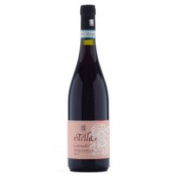 Freisa d’asti d.o.c. "Convento" 75 cl - Stella