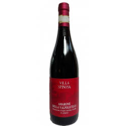 Amarone della Valpolicella D.O.C.G. et. rosso 75 cl - Villa Spinosa