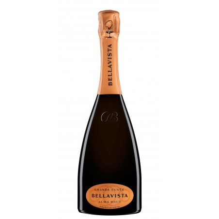 Spumante Franciacorta Alma Cuvèe Brut 150 cl magnum - Bellavista