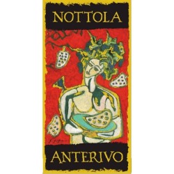 Vino Rosso Super Tuscan I.G.T. "Anterivo" 75 cl - Nottola