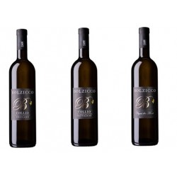 Friulano d.o.c. 75 cl - Collio Bolzicco