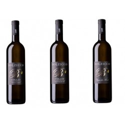 Friulano d.o.c. 75 cl - Collio Bolzicco