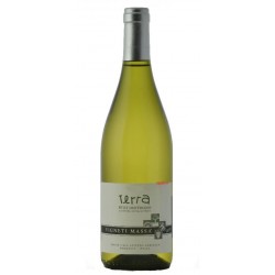 Petit Derthona terra 75 cl - Vigneti Massa