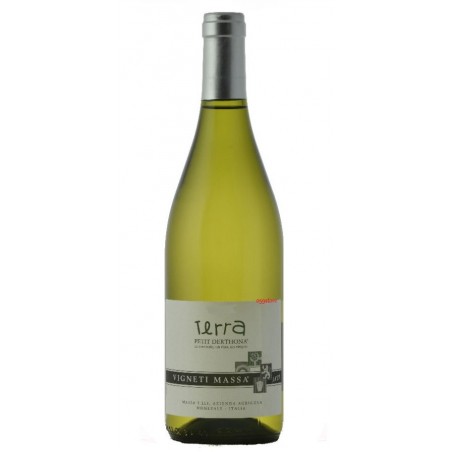 Petit Derthona terra 75 cl - Vigneti Massa