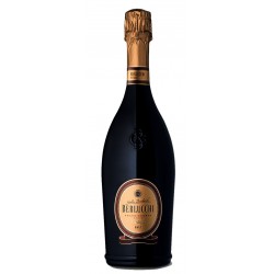 Franciacorta Brut Vintage 75 cl - Berlucchi