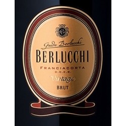 Franciacorta Brut Vintage 75 cl - Berlucchi