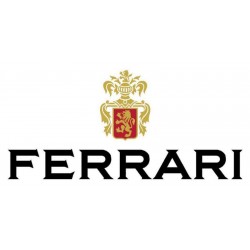 Spumante Trento d.o.c. Perlè bianco 75 cl - Ferrari