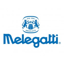 Panettone tradizionale 1kg - Melegatti