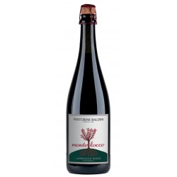 Lambrusco dell'Emilia Biologico "Montelocco" 75 cl - Venturini Baldini