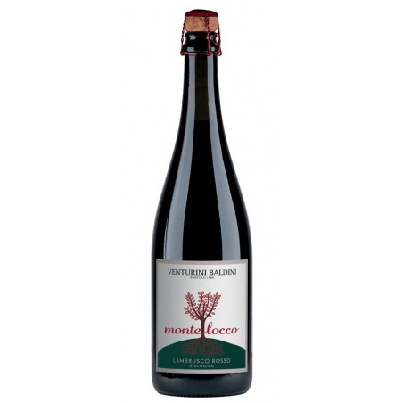 Lambrusco dell'Emilia Biologico "Montelocco" 75 cl - Venturini Baldini