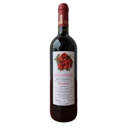 Buttafuoco dell’Oltrepò Pavese d.o.c. “Solinghino” 75 cl - Picchioni