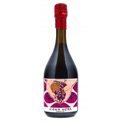 Lambrusco Dell' Emilia i.g.p. "Vigna Nera" 75 cl - Vitivinicola Fangareggi