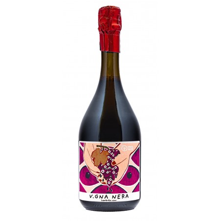 Lambrusco Dell' Emilia i.g.p. "Vigna Nera" 75 cl - Vitivinicola Fangareggi