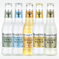 Ginger Beer 20 cl - Fever-Tree