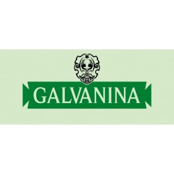 Ginger Beer Bio 35.5 cl - Galvanina