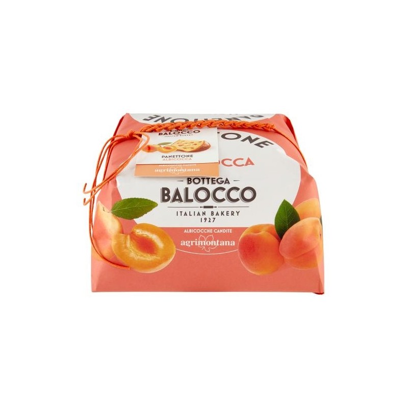 Panettone con Albicocca 750 gr – Bottega Balocco