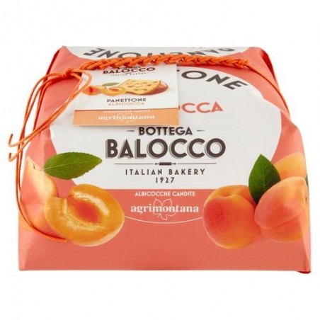 Panettone con Albicocca 750 gr – Bottega Balocco