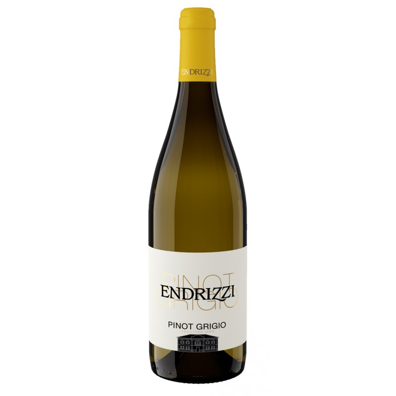 Pinot grigio d.o.p. 75 cl - Endrizzi