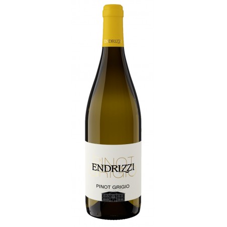 Pinot grigio d.o.p. 75 cl - Endrizzi