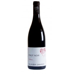 Pinot nero "Collection" 2022  75 cl - Maison Olivier Chanzy