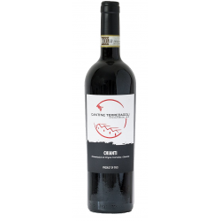 Chianti d.o.c.g. 75 cl - Cantina Terredagoli