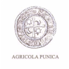 Agricola Punica S.P.A.