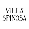 Azienda Agricola Villa Spinosa di Enrico Cascella Spinosa